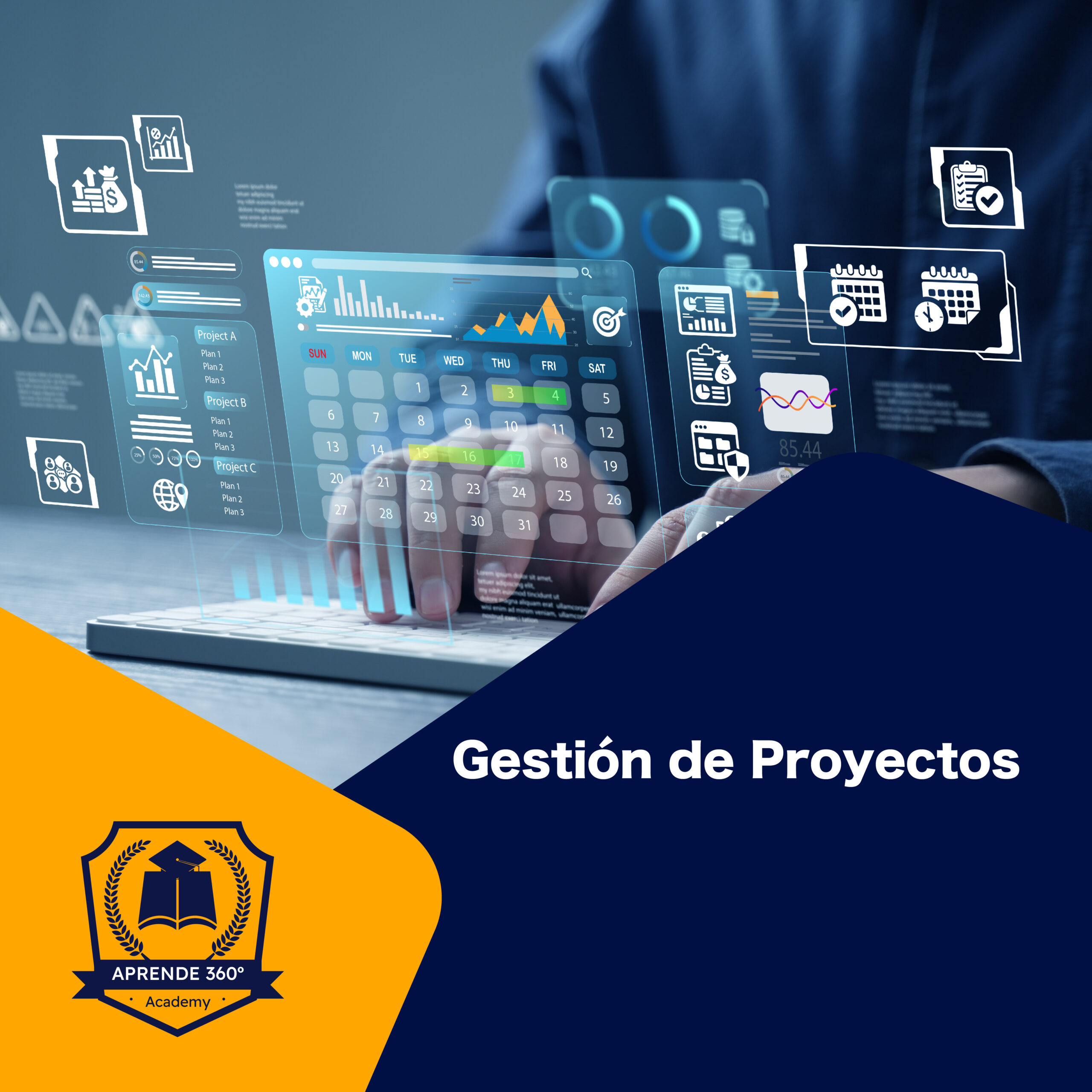Gestión de Proyectos